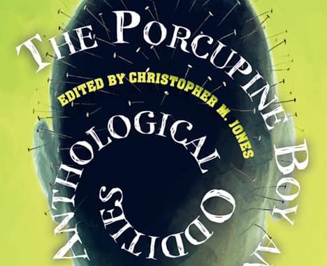 the-porcupine-boy The Porcupine Boy cover