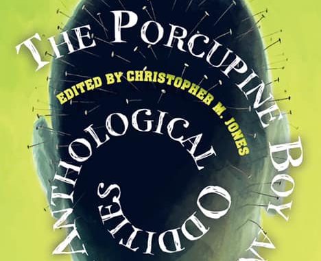 The Porcupine Boy cover